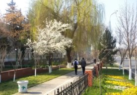 «O‘zgidromet» 27 mart, dushanba kuni uchun ob-havo