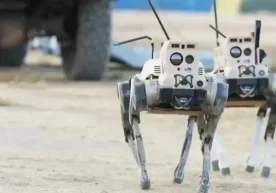 Хитой армияси янги авлод «жамоавий фикрлаш» қобилиятига