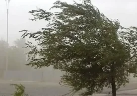 “O‘zgidromet” 8 aprelga oid ob-havo prognozini e’lon