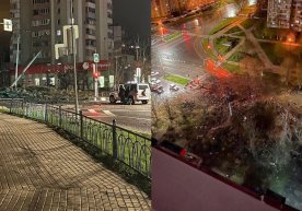 Rossiyaning o‘ziga tegishli bo‘lgan “Cu-34” samolyoti Belgorodga aviabomba tashlab yubordi (video) фото