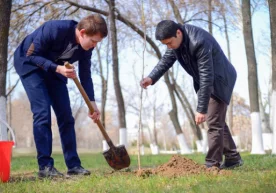 11–12 март кунлари Ўзбекистонда анъанавий тарзда умумхалқ