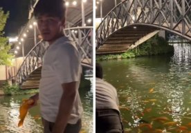 Тошкентдаги Central Park'да содир бўлган ва кенг