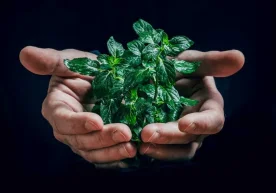 Ўзбекистонда экологик муаммоларни бартараф этиш мақсадида