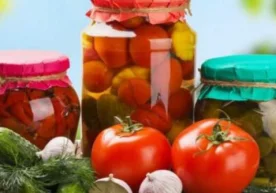 Америка ва Венесуэла олимлари ўзаро ҳамкорликда тадқиқот