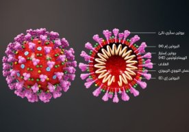 Bunaqasi bo‘lmagan! Islandiyada qo‘shaloq koronavirus aniqlandi фото