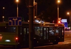 Тошкент шаҳар ҳокимлиги пойтахтда туризм йўналишларини