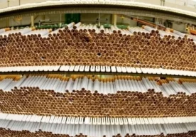 Италиянинг Анкона провинциясида Молиявий гвардия мамлакат