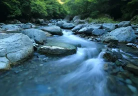 Ўзбекистон умумий қиймати 18 миллион доллардан ошадиган