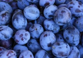 Миллий статистика қўмитаси маълумотига кўра, 2025 йилнинг