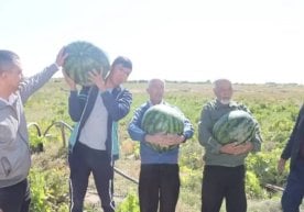 O‘zbekistonda dehqon va tomorqa egalarini yanada