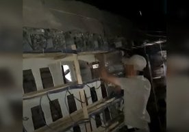 Навоийда давлатга 9,6 млрд сўмлик зарар келтирган майнинг ферма аниқланди (видео) фото