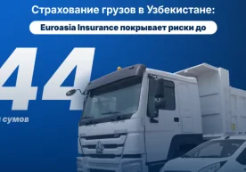 Ҳар куни сиз ўнлаб йўловчиларни ташияпсиз - таксида,