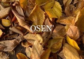 Ўзбекистон аҳолиси 10-13 ноябрь кунлари қандай об-ҳаво