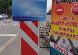 Qashqadaryoda karantin cheklovlari muddatidan avval yumshatiladi фото