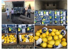 Bojxonachilar Argentinada yetishtirilgan 200 million so‘mlik limonlarni to‘xtatib qolishdi фото
