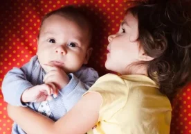 Fotoğraf: «Domashniy ochag» Yapılan araştırmalar
