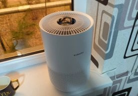 Президентнинг Тошкент шаҳридаги экологик вазиятни