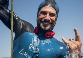 Бу ғайриоддий ютуқ Маричични оддий тюленлар қаторига