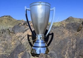 Келаси йил Саудия Арабистони яшил майдонлари тобора