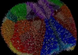 Яна бир шов-шувли илмий ютуқ — ва бу сафар ҳақиқатан ҳам