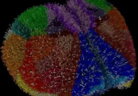 Yana bir shov-shuvli ilmiy yutuq — va bu safar haqiqatan