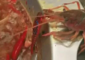 Xitoyda restoranga tashrif buyurgan shaxs yonida