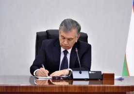 Қонунга кўра, автомобиль, ҳаво, темир йўл, сув, электр