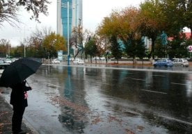 Ўзгидрометнинг маълумотига кўра, 12 октябрь куни мамлакат