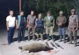 Гулистон шаҳрида овчилар қонун талабларига зид равишда