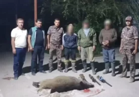 Гулистон шаҳрида овчилар қонун талабларига зид равишда