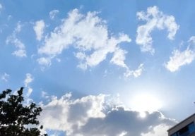 21 август куни Ўзбекистонда ҳаво шароитлари қаттиқ