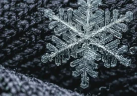 Shanba, 3 yanvar kuni Buxoro, Navoiy, Xorazm viloyatlari