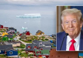 AQShning saylangan prezidenti Donald Tramp Grenlandiyani