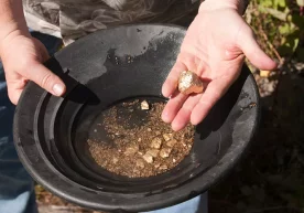 Фото: Google Images Афғонистондаги иккита олтин кони