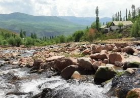 Баҳорнинг сўнгги ойи кириб келмоқда ва кўпчиликни май