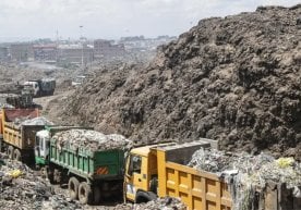 БМТ ташаббуси билан ўтказилган пластик ифлосланишга қарши