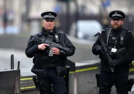 Англиянинг Дербишир шаҳридаги полиция ташлаб кетилган ит