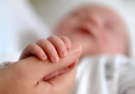 Миллий статистика қўмитаси эълон қилган маълумотларга