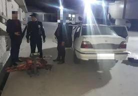 Сирдарёда Самарқанд ва Қашқадарёдан Тошкентга олиб