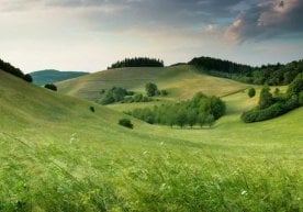 Самарқандда CITESнинг 20 йиллик Конференцияси юқори