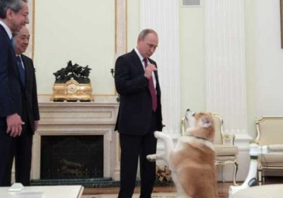 Россияда Президент сайлови яқин: Путин қарорини эълон қилди фото
