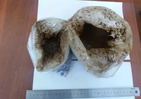 Юртимизга турли яширин ва ноқонуний йўллар орқали заҳри