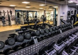 «Sariq» va «yashil» hududlarda sport seksiyalari, sport zallari va fitnes klublari faoliyati yo‘lga qo‘yiladi фото