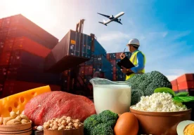 Миллий статистика қўмитаси маълумотларига кўра, 2025