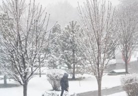 Ўзгидромет 30 январь кунига мўлжалланган об-ҳаво