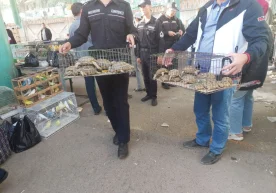 Фото: Давлат экология қўмитаси Ижтимоий тармоқларда
