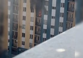 12 август куни Тошкент шаҳрининг Бектемир туманида, Абай