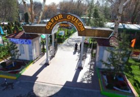 Фото: Ғафур Ғулом боғи Тошкент шаҳар ҳокимлиги ижтимоий
