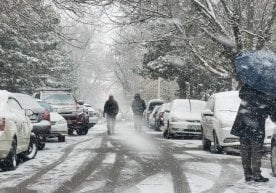 20 январь куни Ўзбекистон ҳудудида қишки, салқин ва айрим