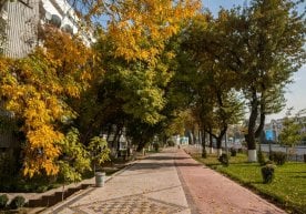 Ўзгидромет маълумотига кўра, 27–30 октябрь кунлари